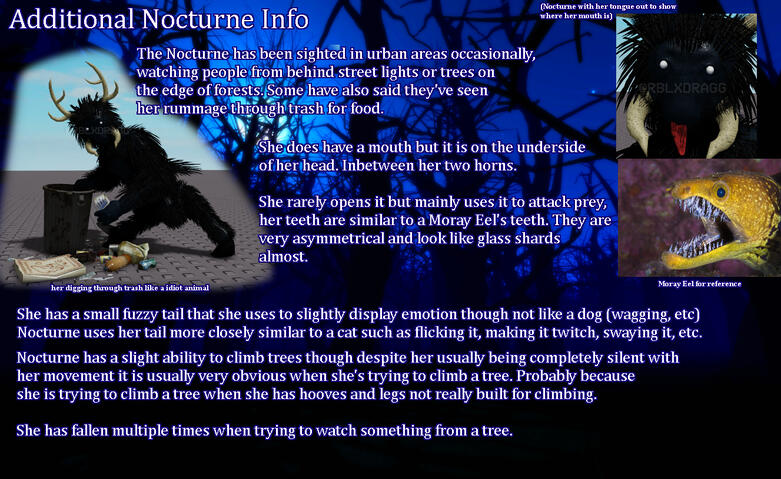 Additional Info Additional Info